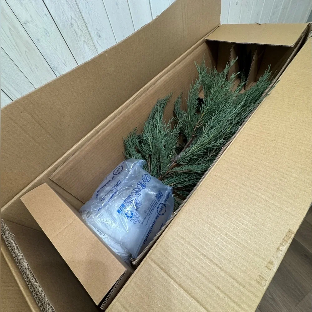 Crate & Barrel, Faux 33” Cypress Tree in White Pot